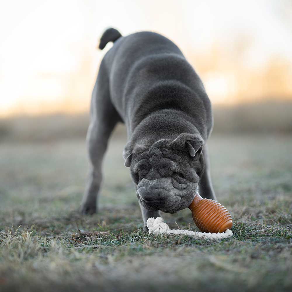 Naturligt hundelegetøj - cone med reb