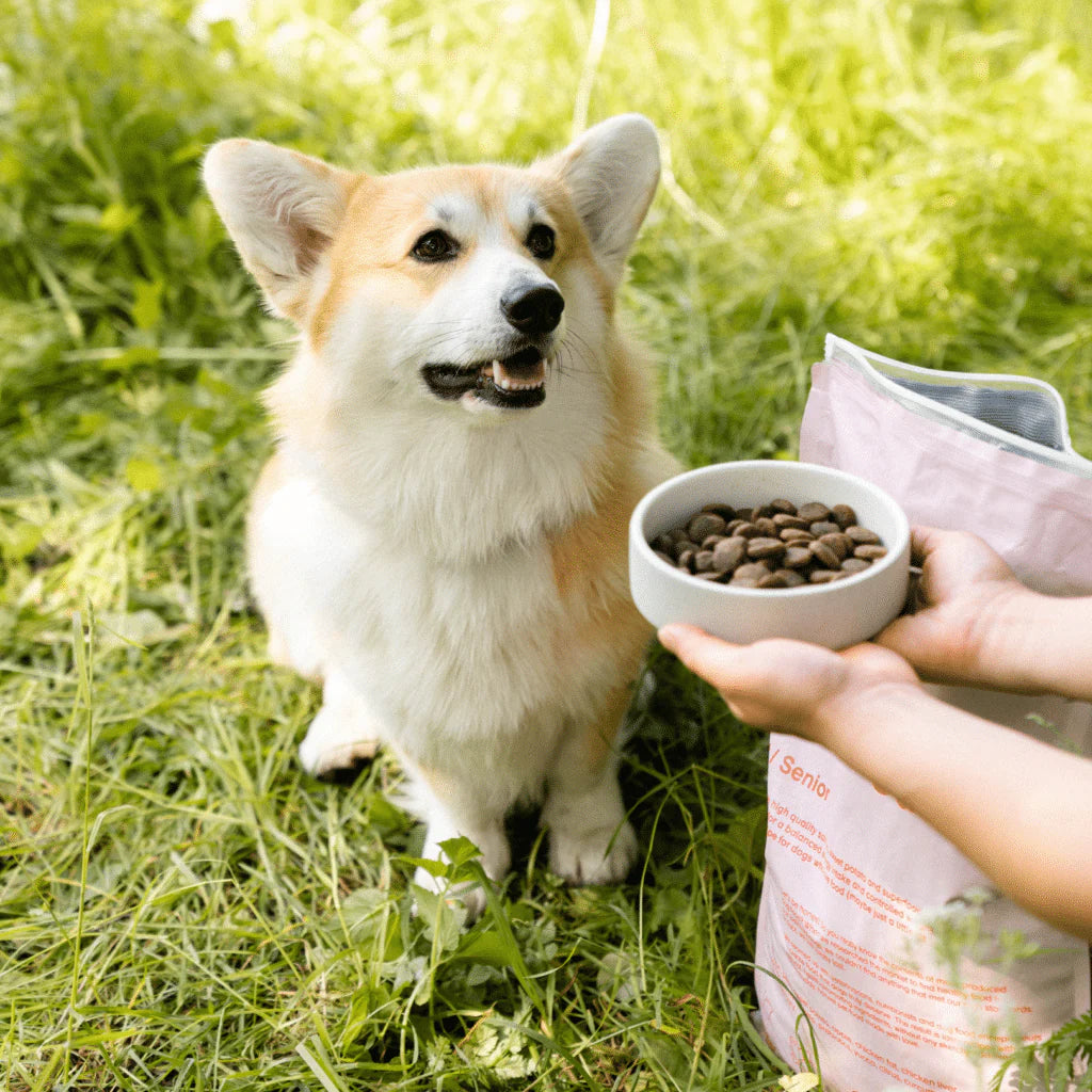 100% naturligt hundefoder med vildtfanget laks