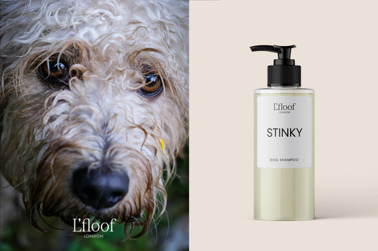 Naturlig Hundeshampoo - Bergamot/Lavendel - 300ml L'floof