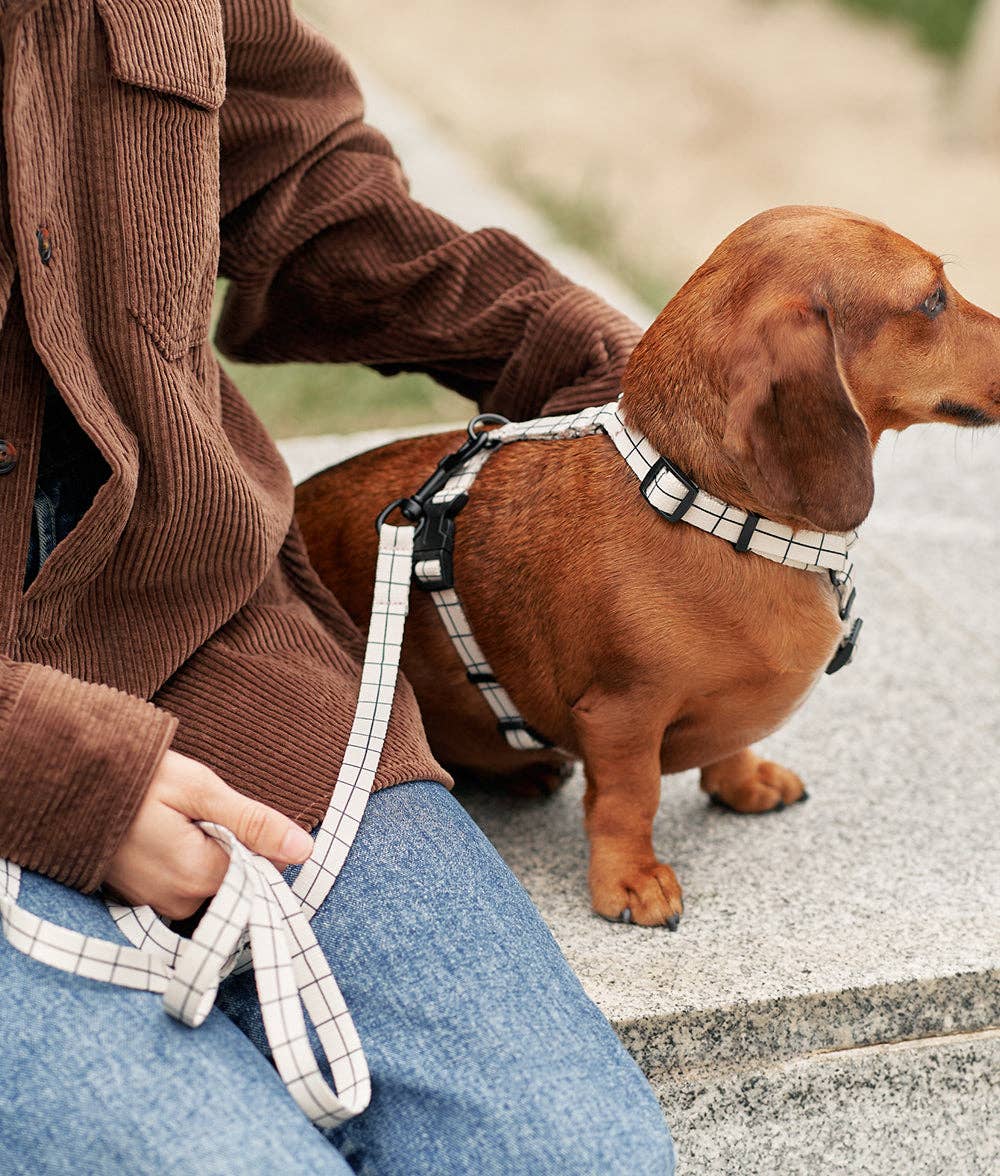 Cafide - Juno hundesele, Linea Beige