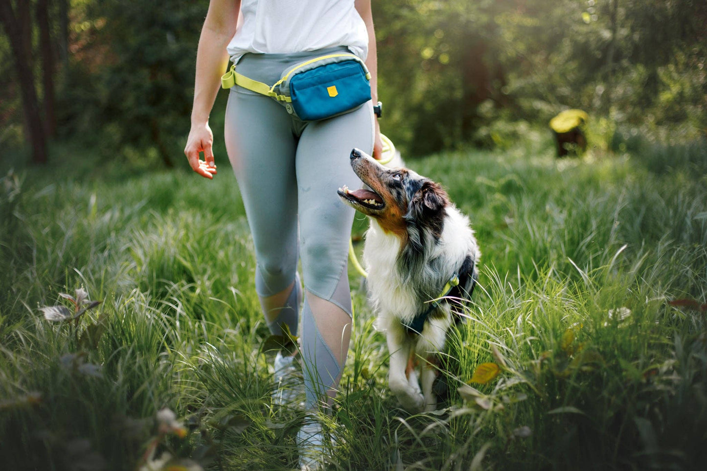 Alpha 360 hip pack - Deep Teal