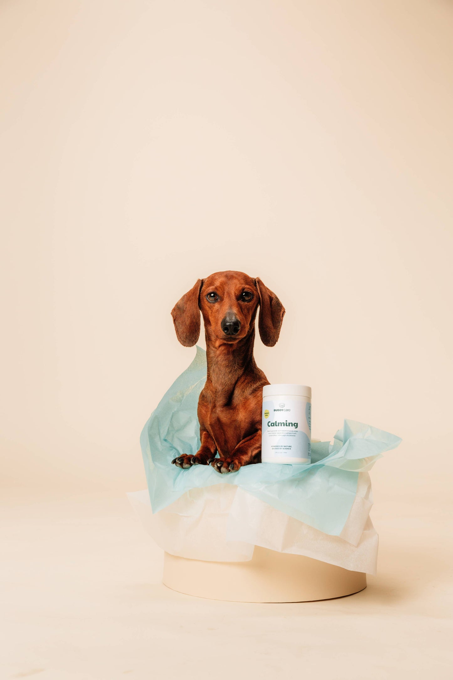 BuddyCare - Beroligende Tyggetabletter