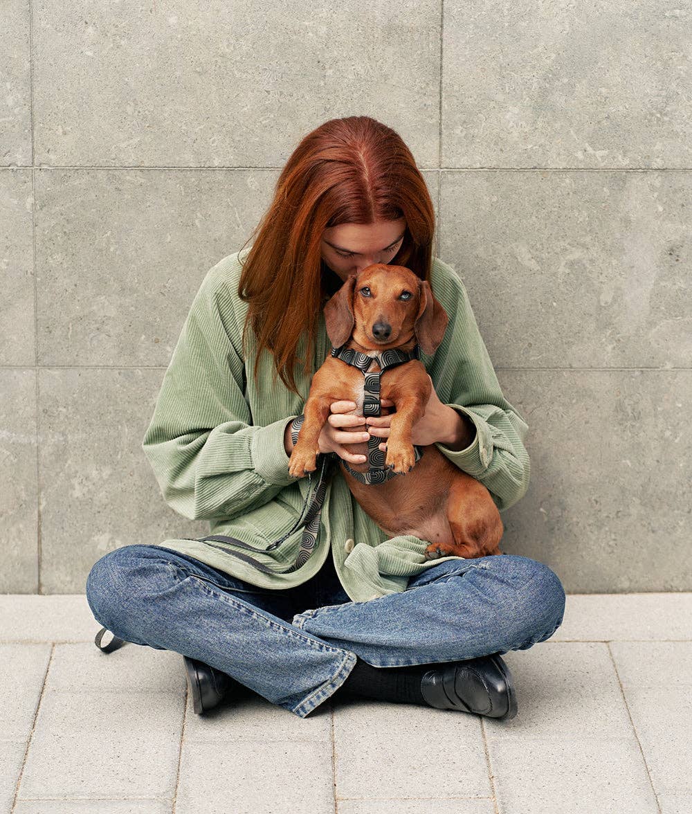Cafide - Juno hundesele, Japan Green