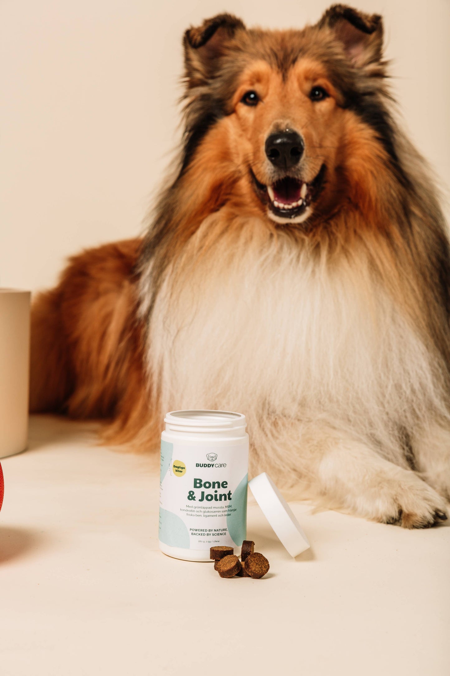 Buddycare - Hofte & Led