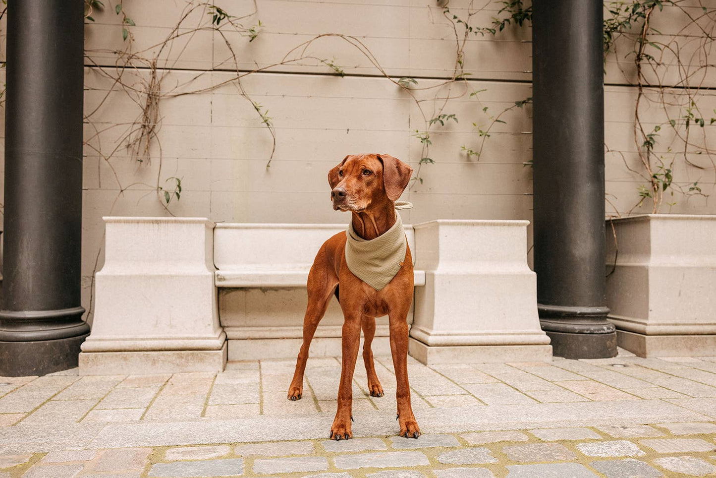 Muslin tørklæde - Olive