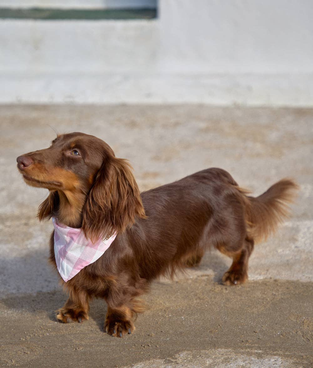 Bandana Vichy, rosa