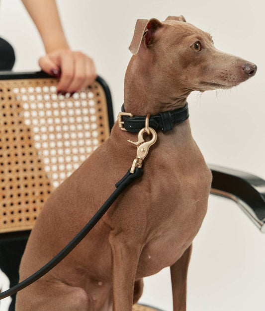 Vegansk læderhalsbånd, sort