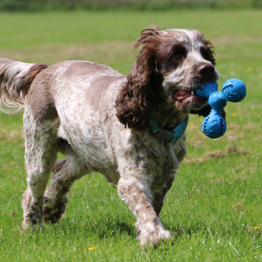 Orva Tuff Stuff Trekant