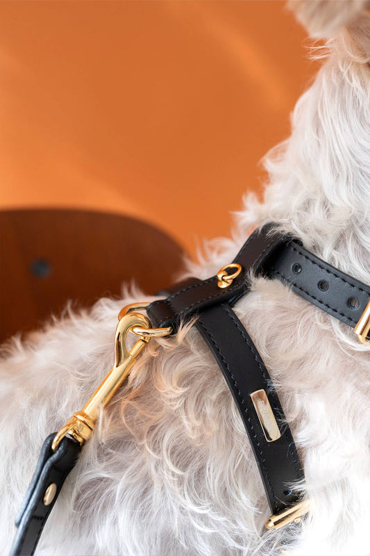 Nara lædersele, sort