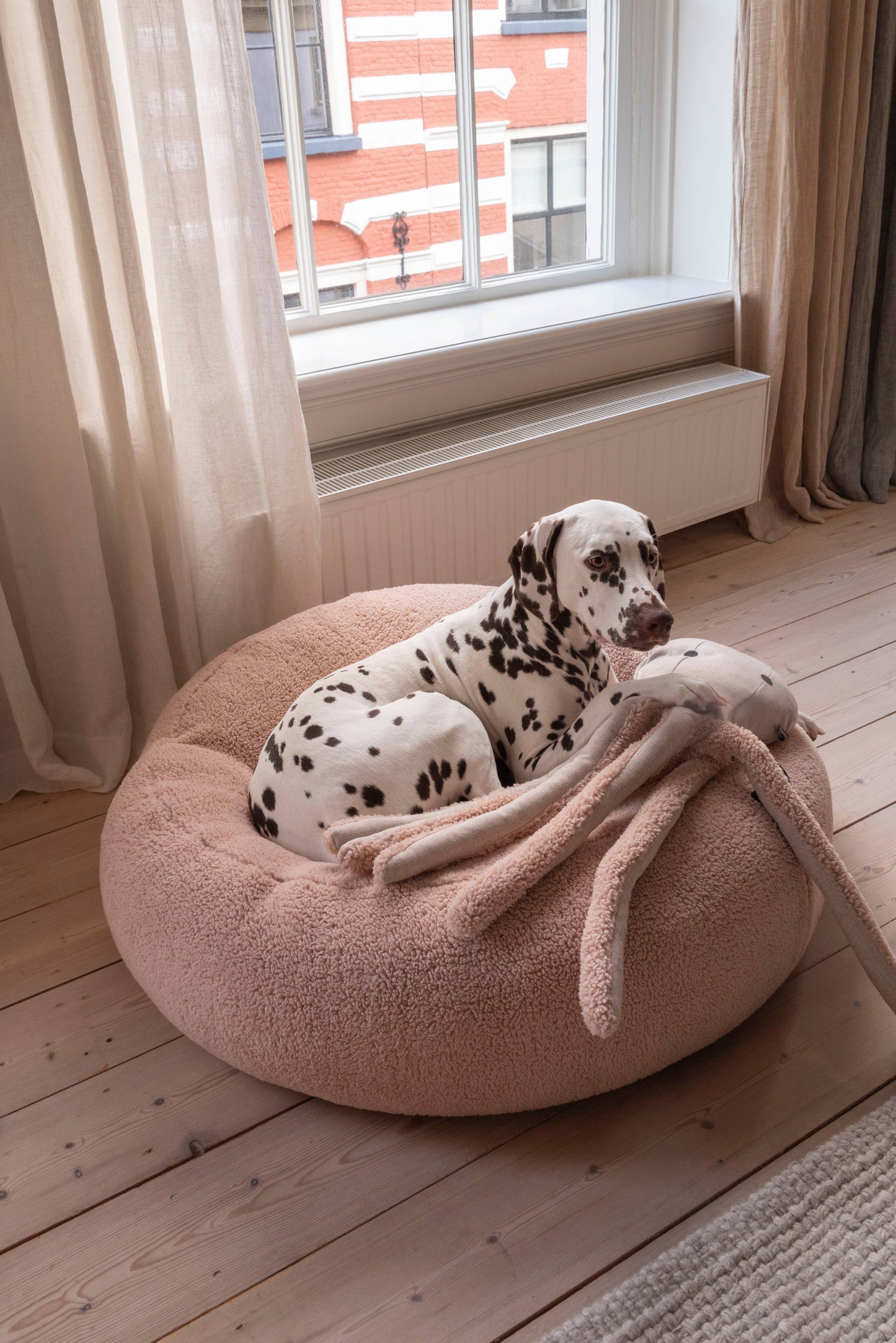 Teddy puf, soft rose
