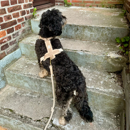 Justerbar hundesele - Beige teddyfleece