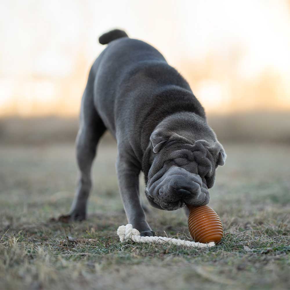 Naturligt hundelegetøj - cone med reb