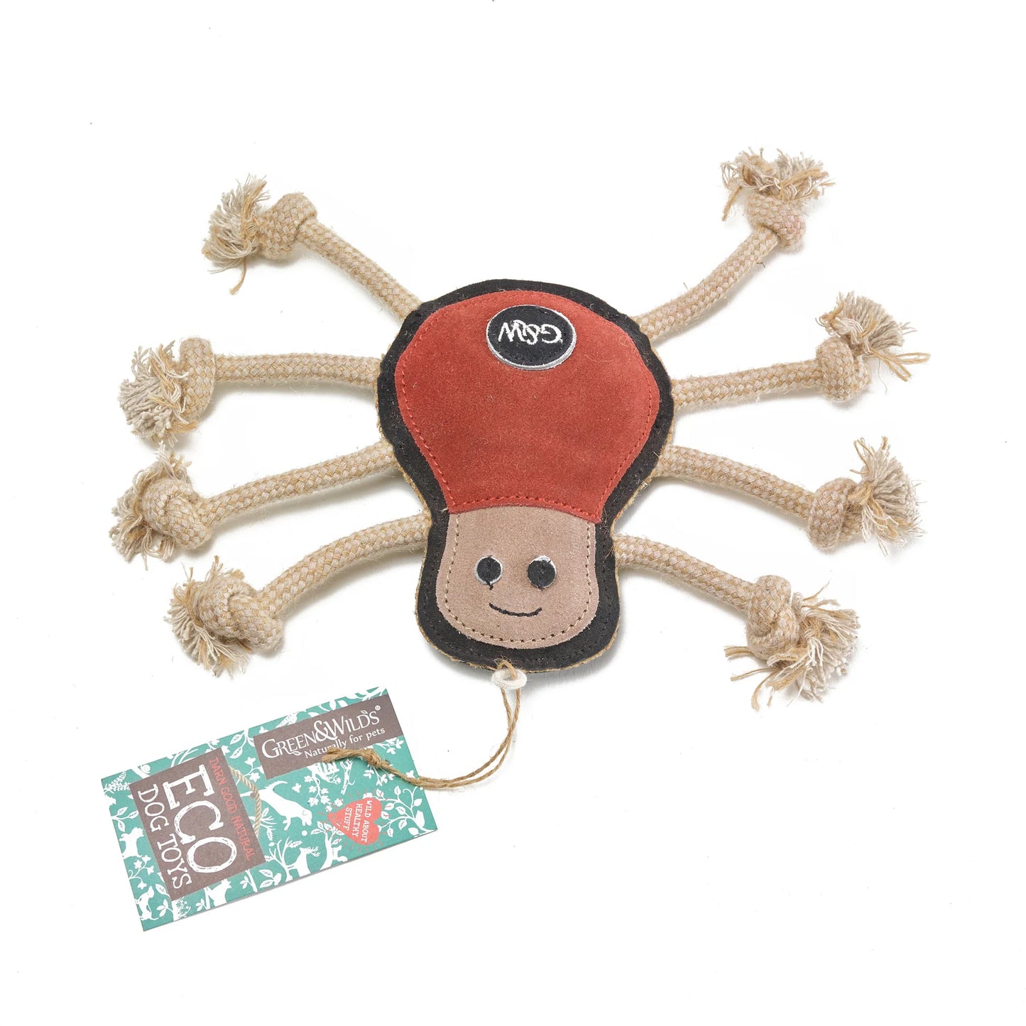 Spike the Spider