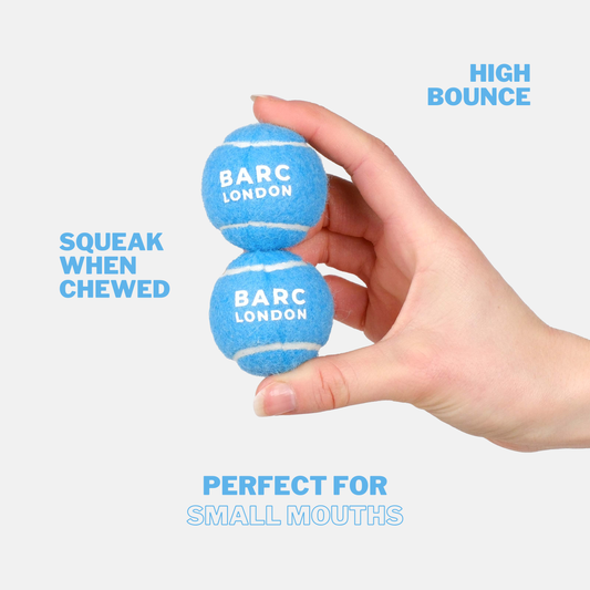 Blå mini tennisbolde - 5-pak