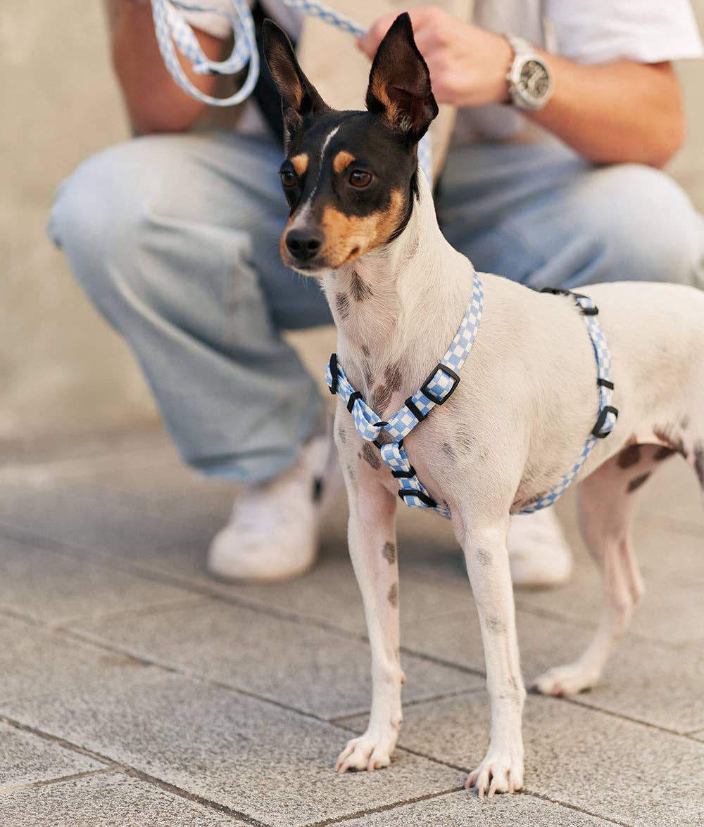 Cafide - Juno hundesele, Vichy blå