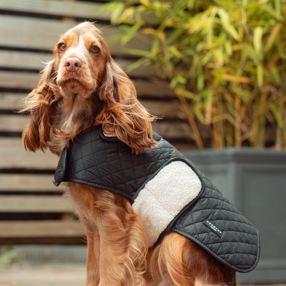 LUXE Quilted Dog Coat 🐾 - Midnight Black