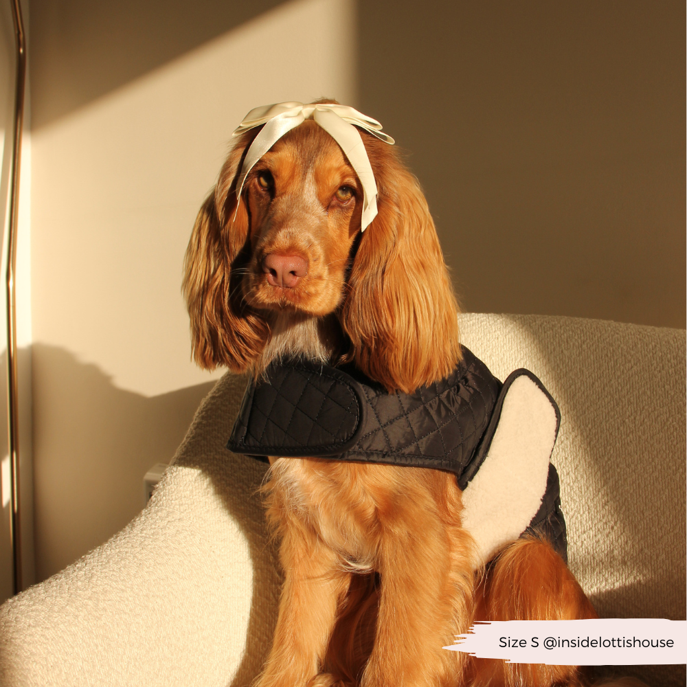 LUXE Quilted Dog Coat 🐾 - Midnight Black