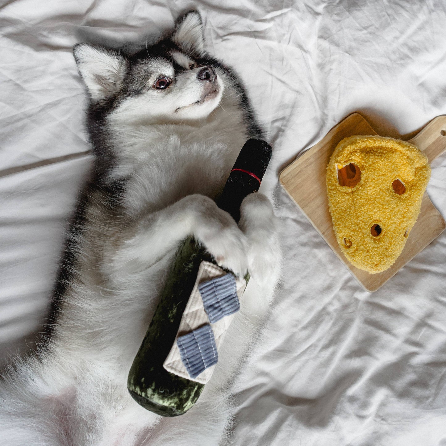 Aktivitetslejetøj - ost 🧀