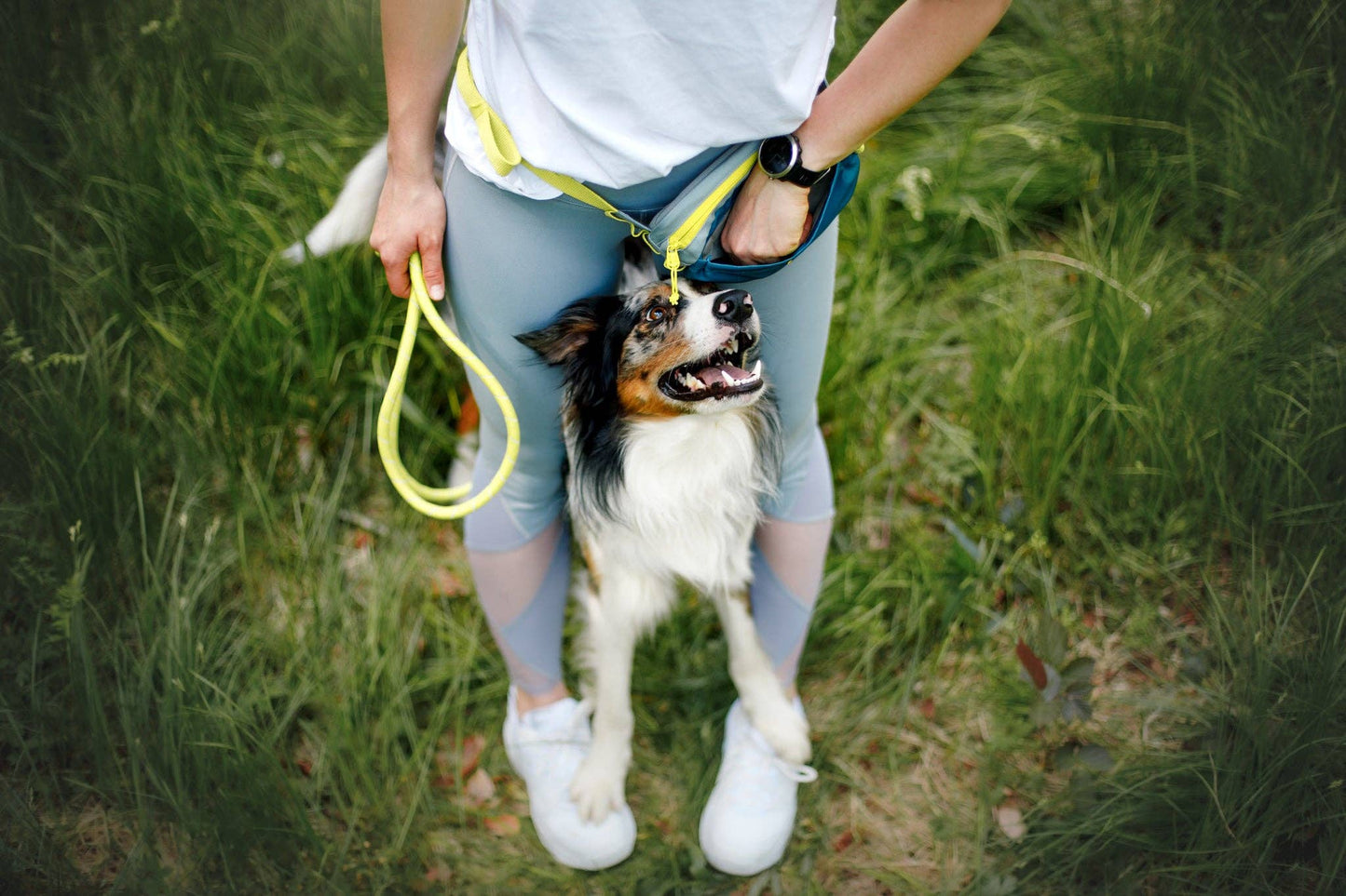 Alpha 360 hip pack - Deep Teal