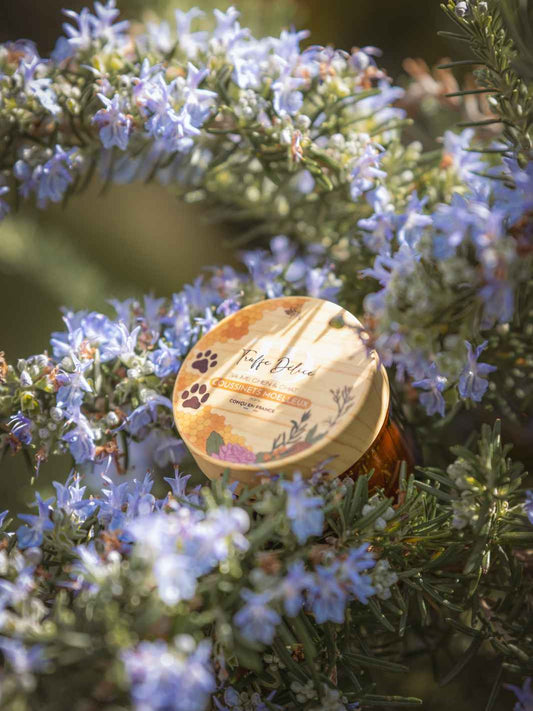 Potebalsam med A og E vitamin