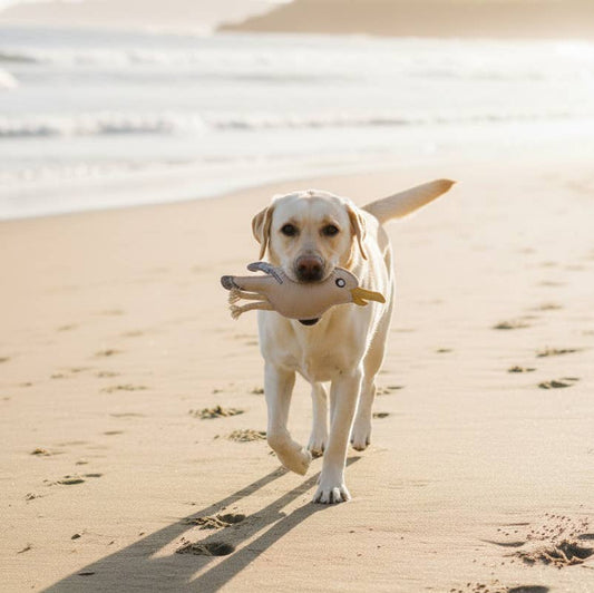 Hundelegetøj af ruskind "Måge"