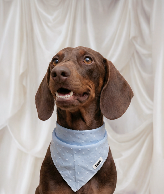 Hundebandana Plumeti-design, blå