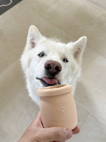 Yoomy Pot - Aktivitetslegetøj - fersken