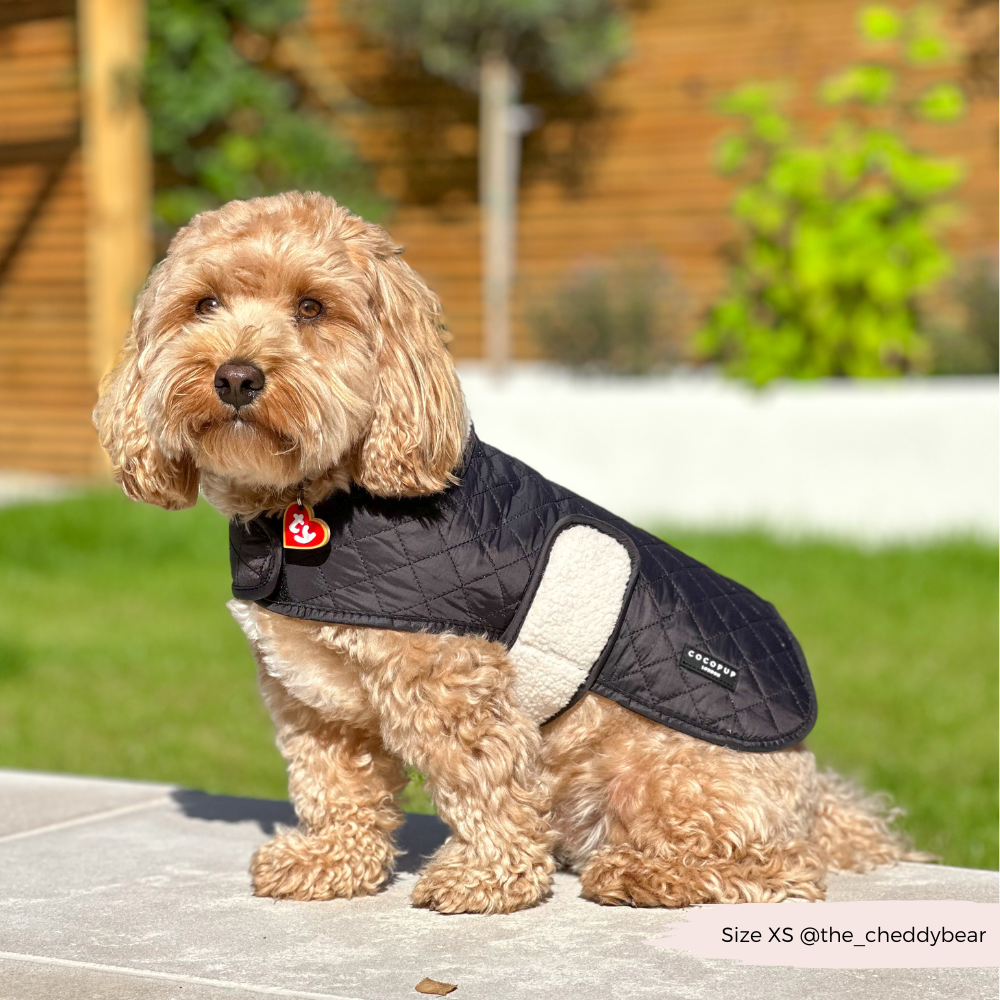 LUXE Quilted Dog Coat 🐾 - Midnight Black