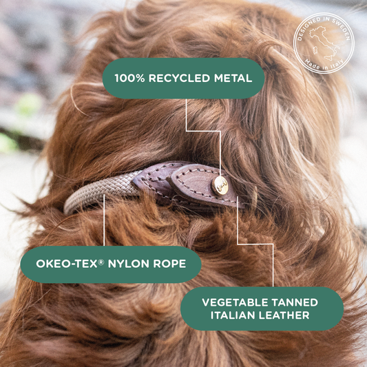 Denjo Dogs - Torekov halsbånd - Golden Sand