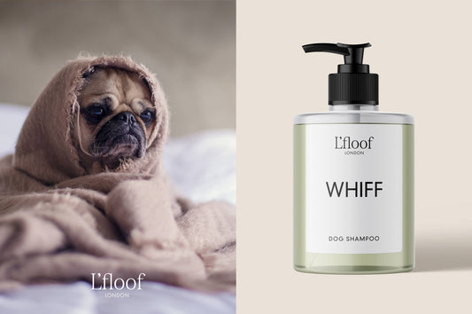 Naturlig hundeshampoo med Orange Olie - 500ml - L'floof WHIFF