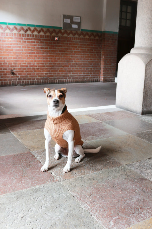 Unisex Uld hundetrøje sennep