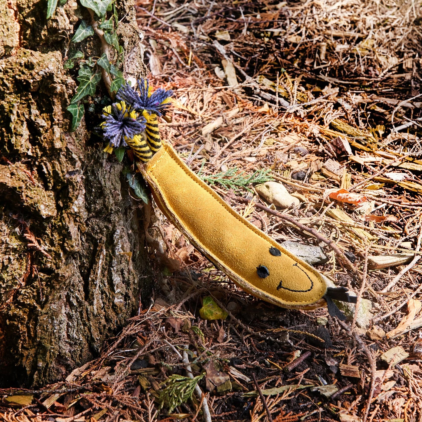 Barry the Banana