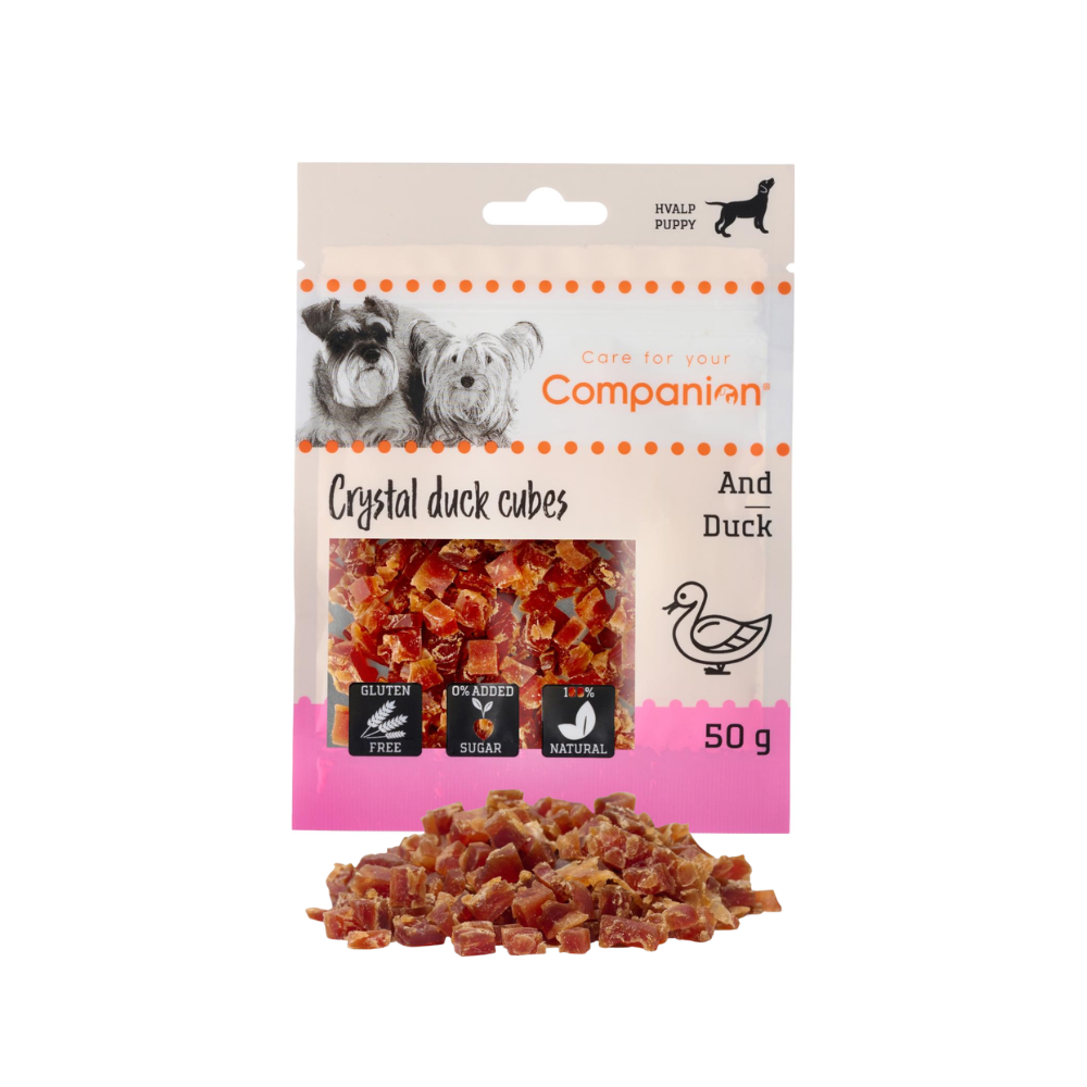 Companion Crystal cubes puppy - and