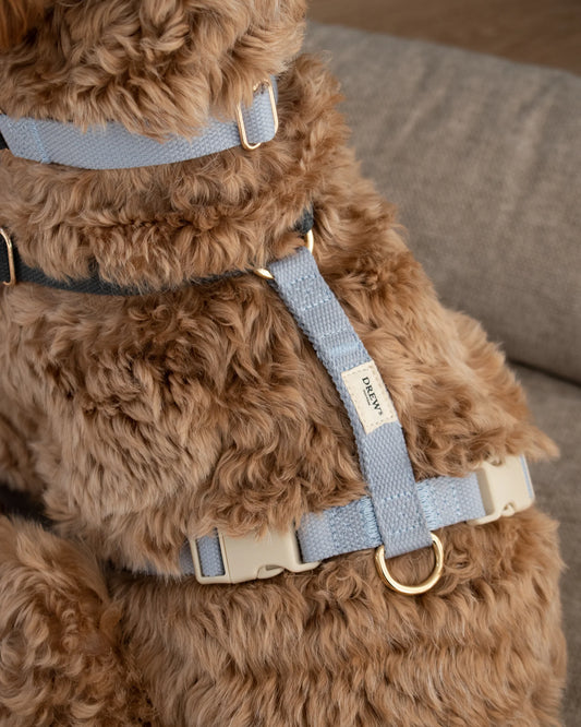 Justerbar hundesele - Caviar