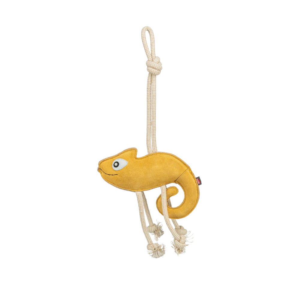 Kamæleon på reb