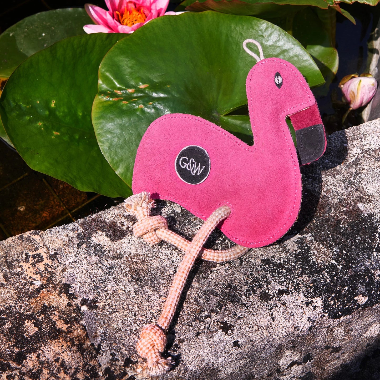 Floyd the flamingo