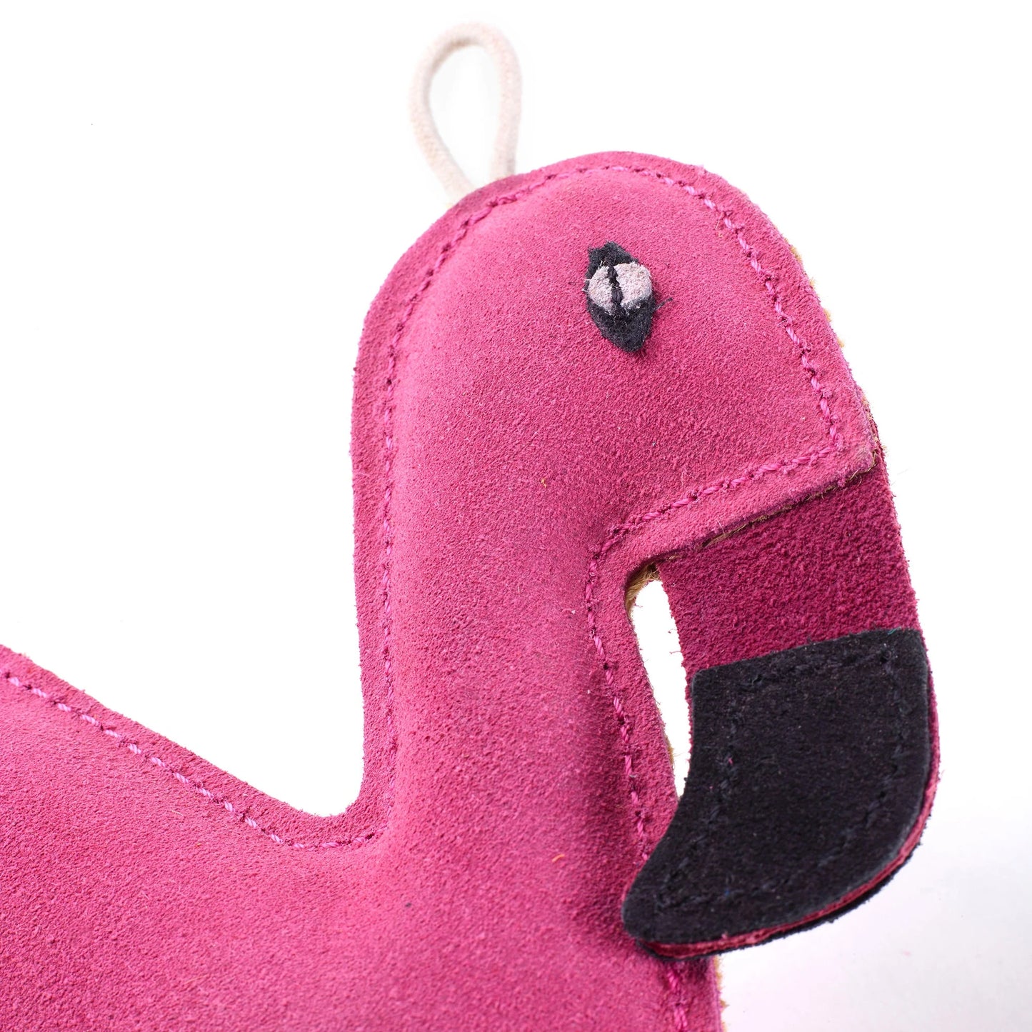 Floyd the flamingo