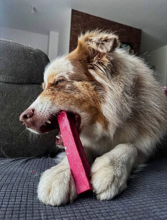Yak osteben med jordbær