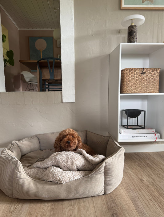 Fiona hundeseng, beige fløjl