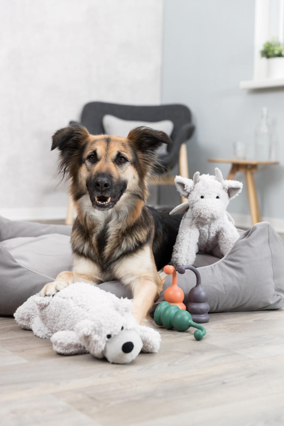 Be Eco - Bjørnen Elroy