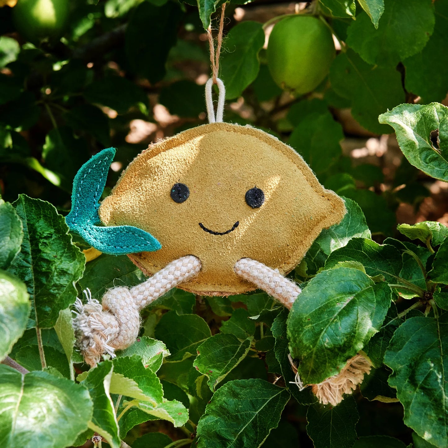 Libby the Lemon