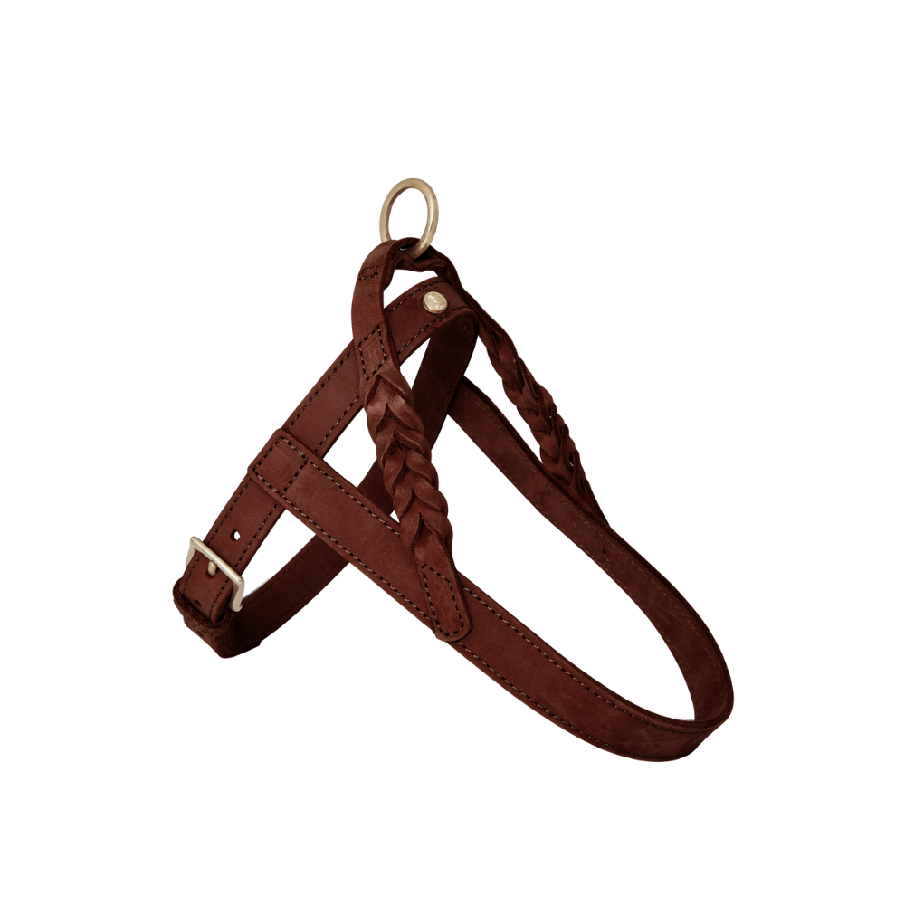 Denjo Dogs - Stockholm Hundesele