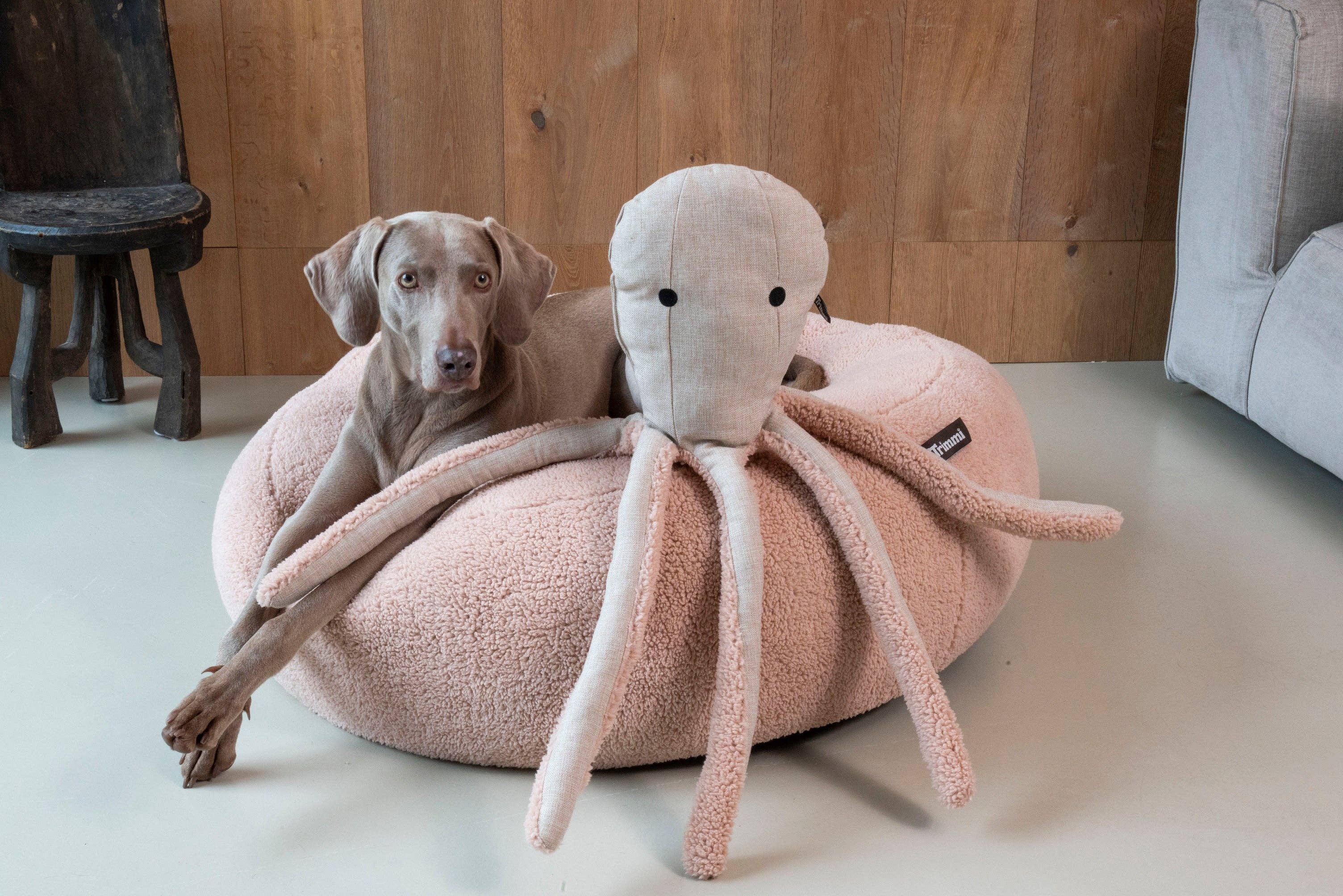 Krammevenlig blæksprutte 🐙