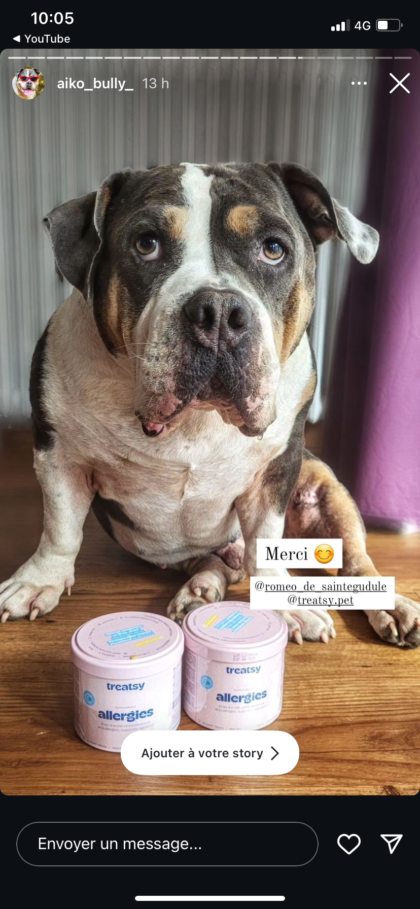 Hund anti-kløe Allergi tilskud