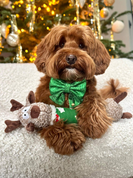 Sailors bow - christmas green