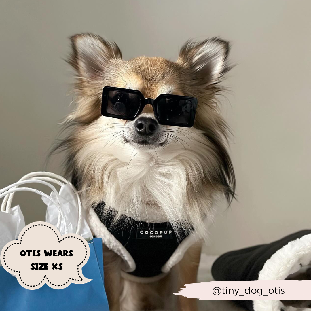 Aviator sele - sort