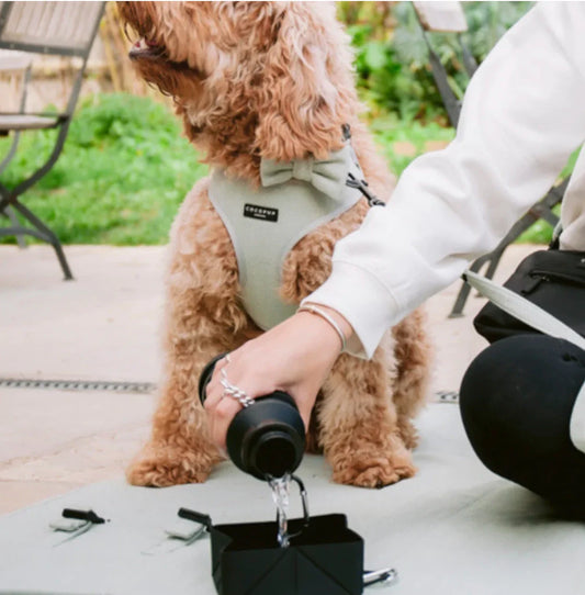 Sammenklappelig drikkedunk, sort