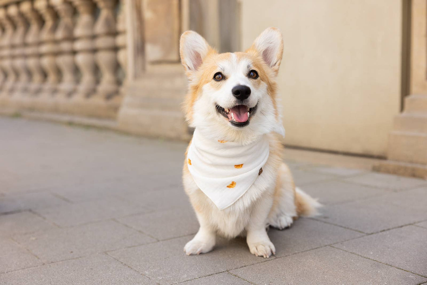 Musselin bandana "CROISSANTS"