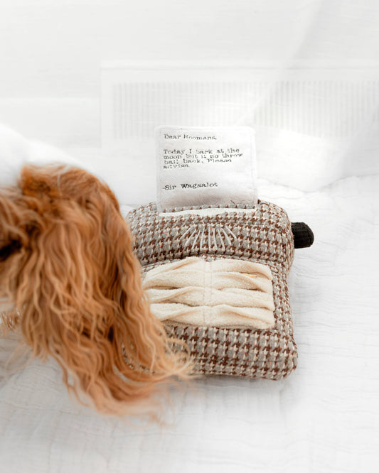 Aktivitetslegetøj - Skrivemaskine