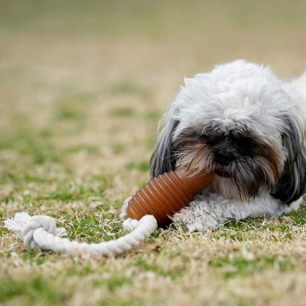 Naturligt hundelegetøj - cone med reb